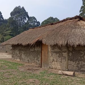 Aldeia Pindo Mirim - TI Jaragua