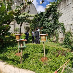 CIEJA CLÓVIS CAITANO MIQUELAZZO