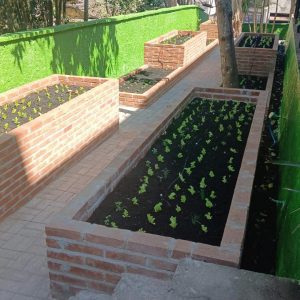 CIEJA ROLANDO BOLDRIN