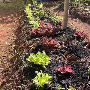 EMEF ANTONIO CARLOS DE ANDRADA E SILVA