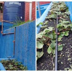 EMEF CONSTELACAO DO INDIO