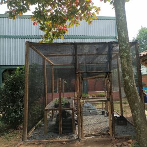 EMEF DES. AMORIM LIMA