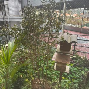 EMEF JOÃO RAMOS – PERNAMBUCO - ABOLICIONISTA