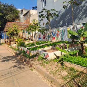 EMEF MARIA APARECIDA MAGNANELLI FERNANDES, PROFA