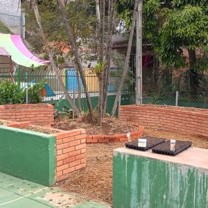 EMEI ANGENOR DE OLIVEIRA - CARTOLA