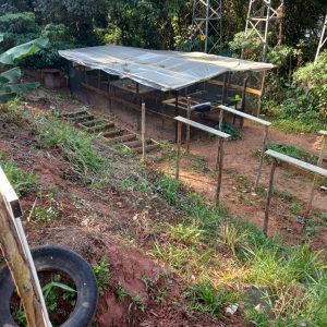 Horta Cantinho do Céu