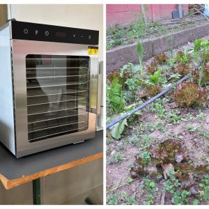 Recanto Verde do Povo em Ação