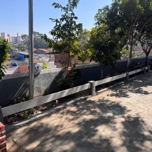 Sementes que Alimentam