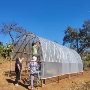 Turismo de Vivência Rural - Vida que prospera