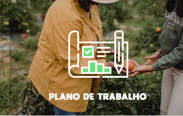 botao-planodetrabalho