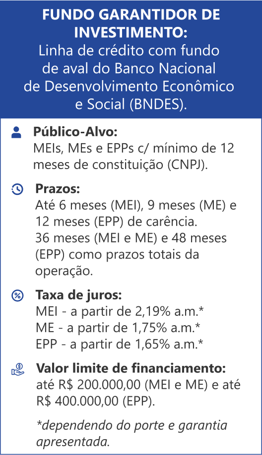 FUNDO GARANTIDOR DE INVESTIMENTO